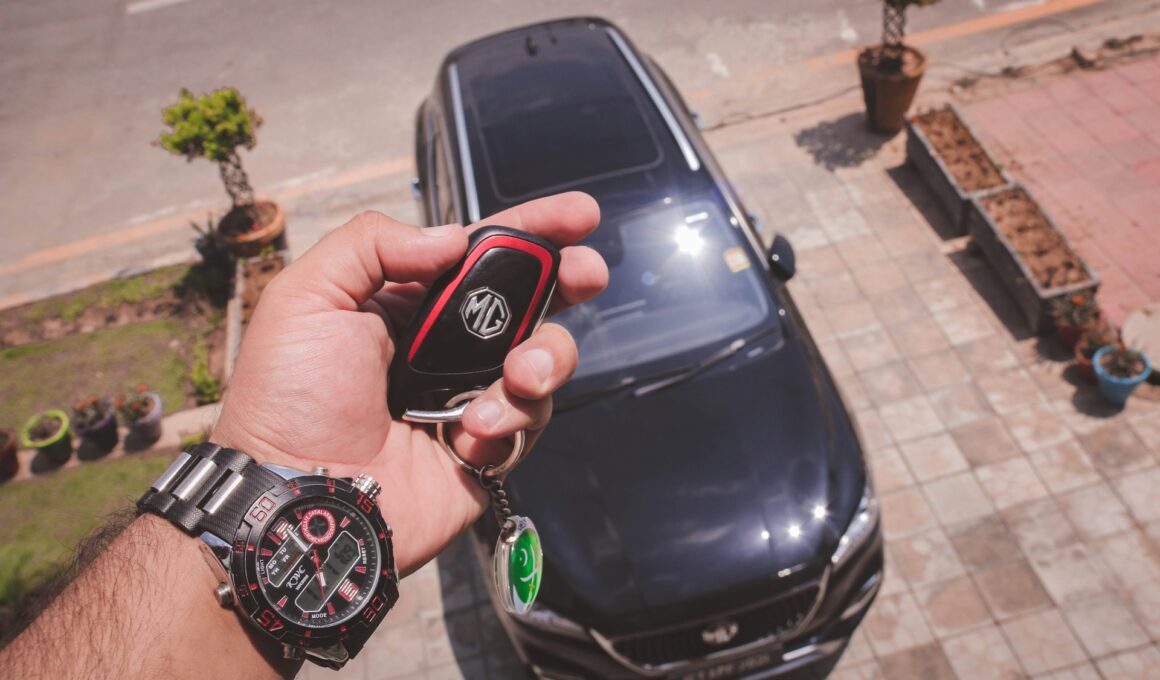 Shifting Patterns in Car Ownership by 2025